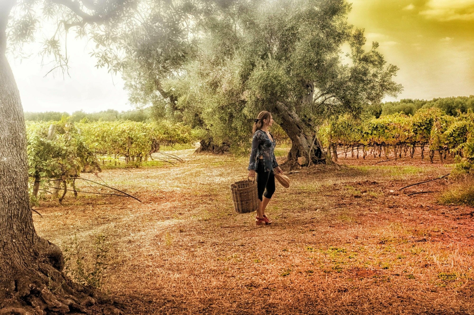 مارودجو Masseria Le Fabriche المظهر الخارجي الصورة
